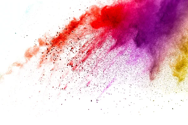 Colours of Tradition: Immersing in Holi's Spirit with Banarasi Elegance