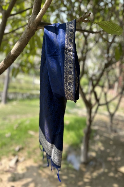 Banarasi Stole | banarasi poshak